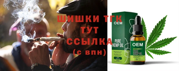 ECSTASY Пересвет