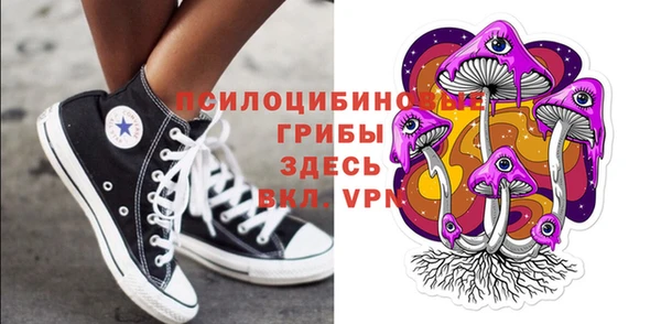 герыч Пестово