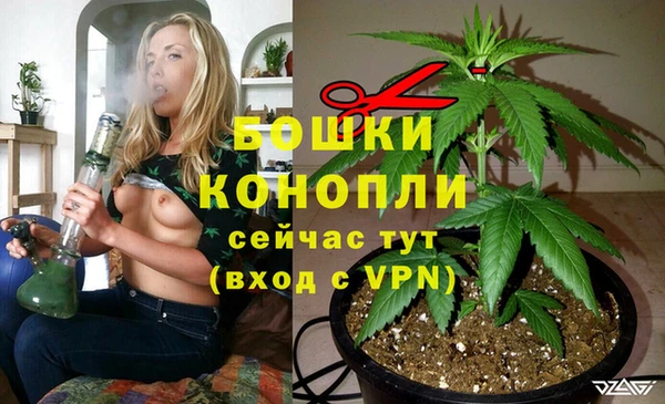 ECSTASY Пересвет