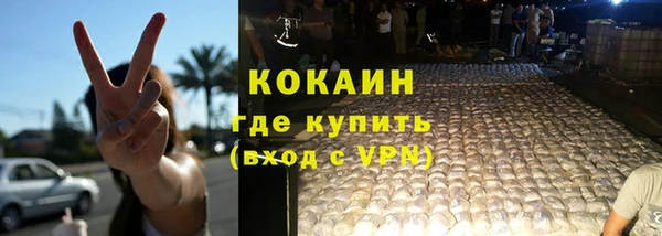 ECSTASY Пересвет
