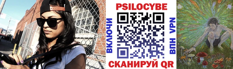 Псилоцибиновые грибы GOLDEN TEACHER  Черногорск 
