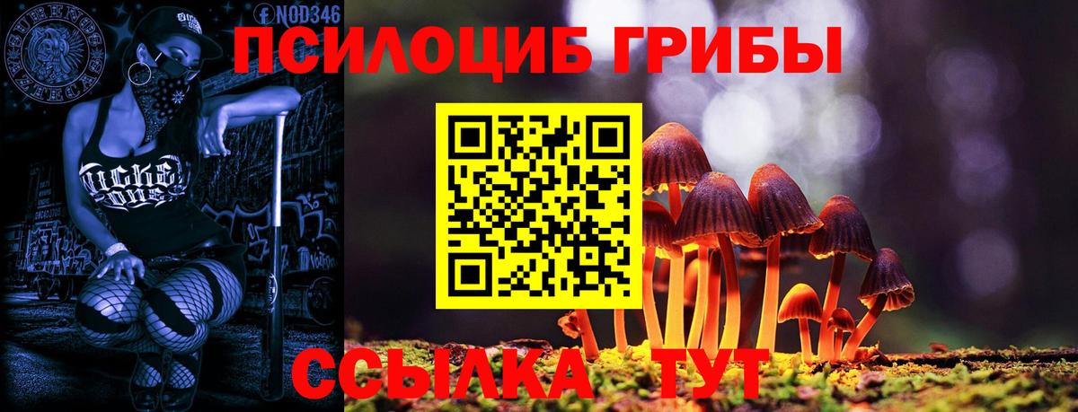 купить наркоту  Вход с VPN  Черногорск  Галлюциногенные грибы GOLDEN TEACHER  Галлюциногенные грибы мицелий 