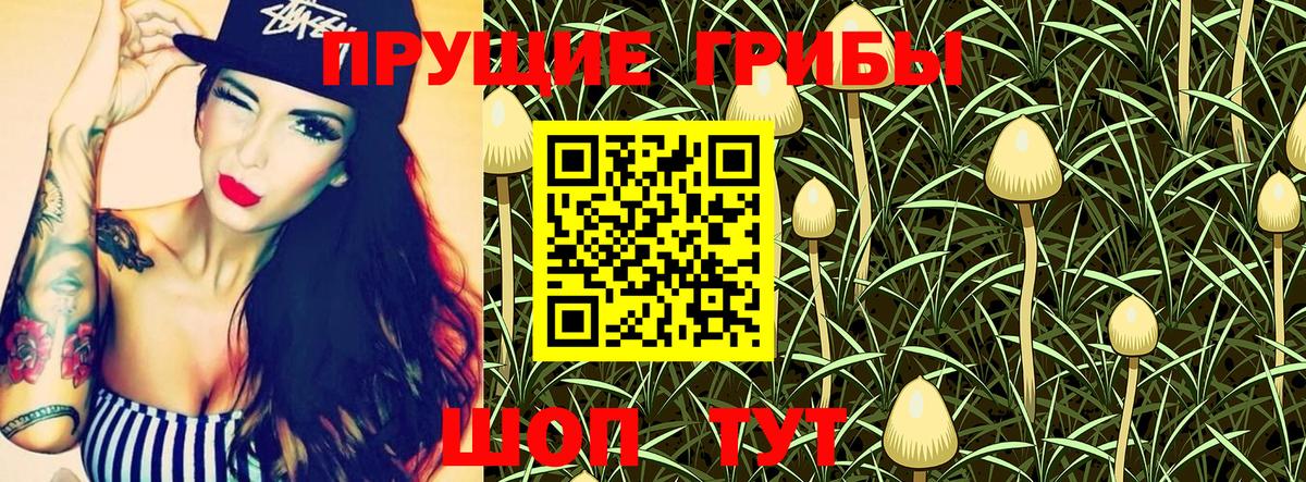 Галлюциногенные грибы прущие грибы Черногорск